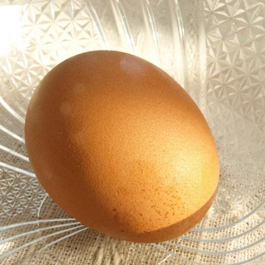 ハナシのつまみ　 赤い卵と白い卵、その違いとは？