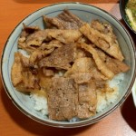 chikarameshi_S