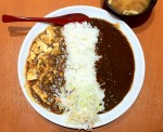 chikara