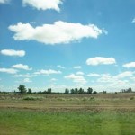 パンパアイキャッチ