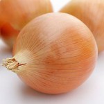 タマネギアイキャッチ