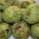 チェリモヤアイキャッチ