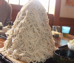 ushi