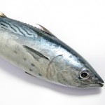 tuna 2