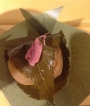 蜜さくら梅
