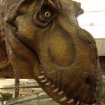 dinosaur-1-1550246-640×480 2