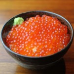 ikuradon_icon