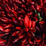 red-chilli-peppers-icon