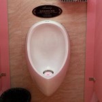 woman-stand-toilet 2