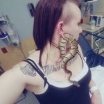 snake-image-icon