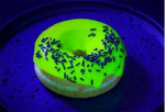 glownuts-01