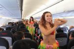 bikini-stewardess-03