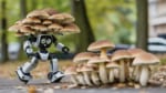 Outdoor,Photo,Of,A,Robot,With,Many,Mushrooms,Parasitizing,Its