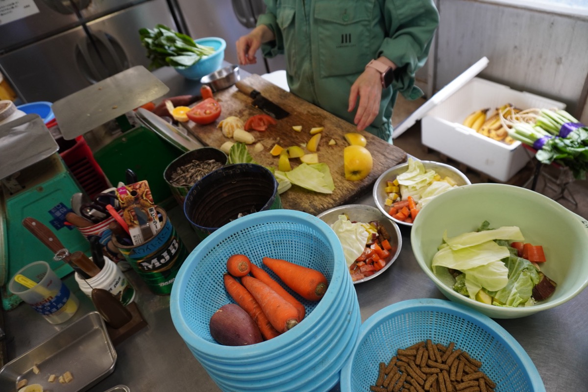 これが園の動物たちの飼料。職員さんたちの手作りが多く、若い職員さんたちも板前のような鮮やかな手つきで食材を刻んでいたのに驚いた！